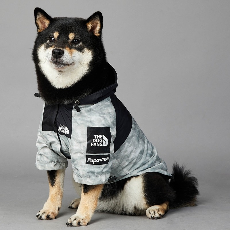 manteau imperméable pour petit chien
